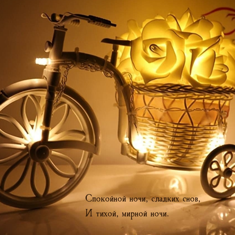 Спокойной ночи, сладких снов, и тихой, мирной ночи.