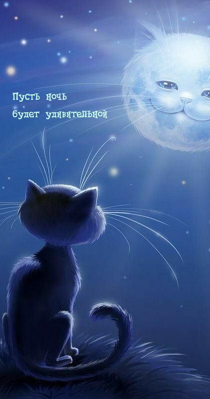 Пусть ночь будет удивительной