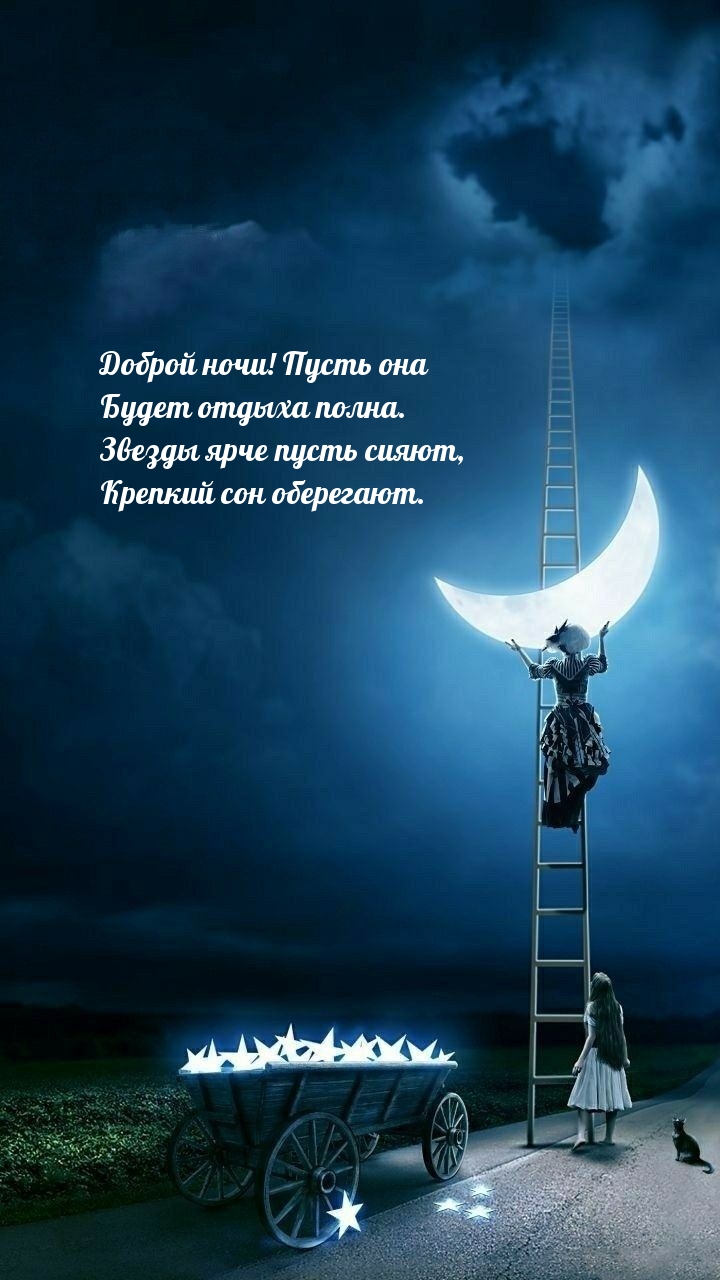 Доброй ночи! Пусть она будет отдыха полна.