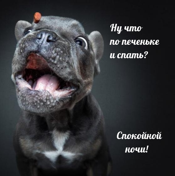 Ну что по печеньке и спать? Спокойной ночи!