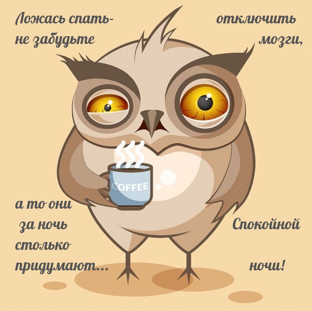 Ложась спать — не забудьте отключить мозги