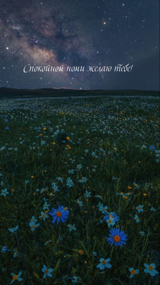 Спокойной ночи желаю тебе!