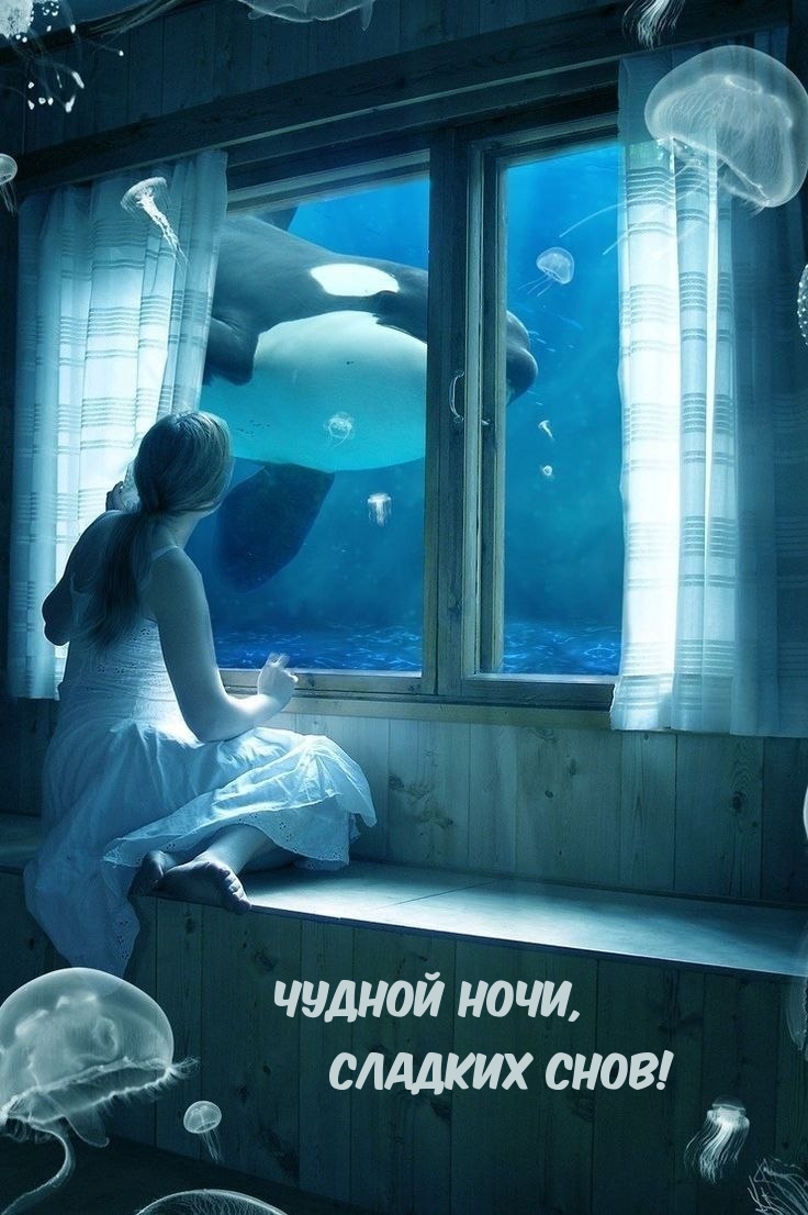 Картинки с надписями.  Чудной ночи, Сладких снов!.
