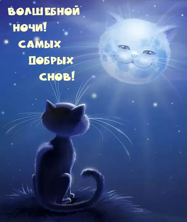 Волшебной ночи! Самых добрых снов!
