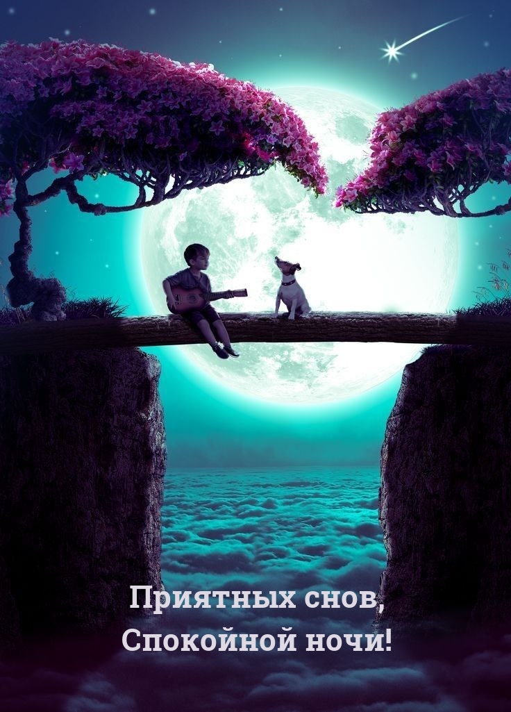 Приятных снов, Спокойной ночи!