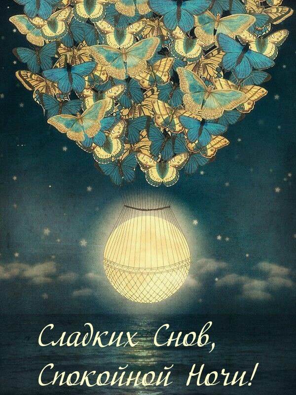 Сладких Снов, Спокойной Ночи!