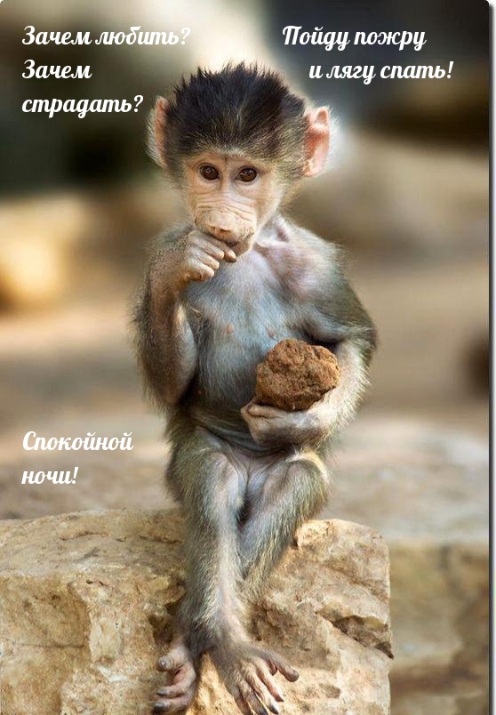 Спокойной ночи! Зачем любить? Пойду пожру и лягу спать!