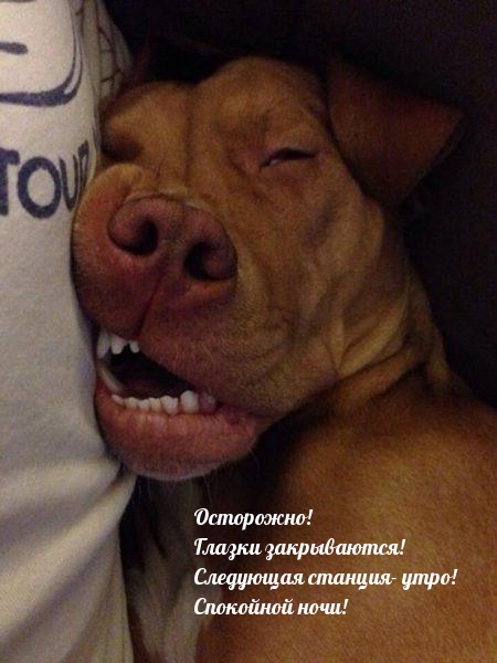 Осторожно! Глазки закрываются!