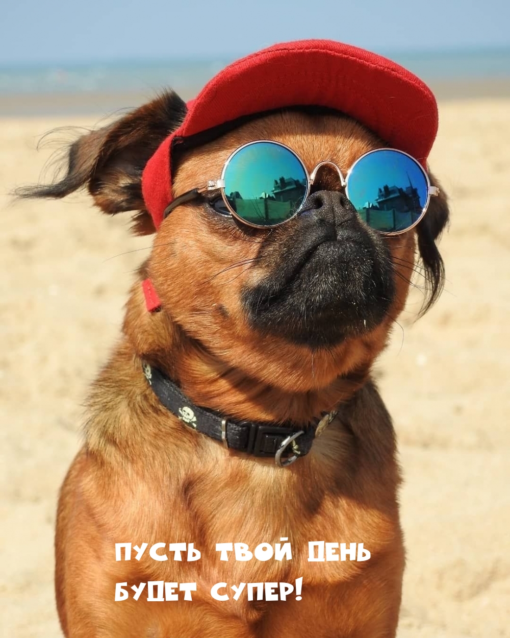 Пусть твой день будет супер!