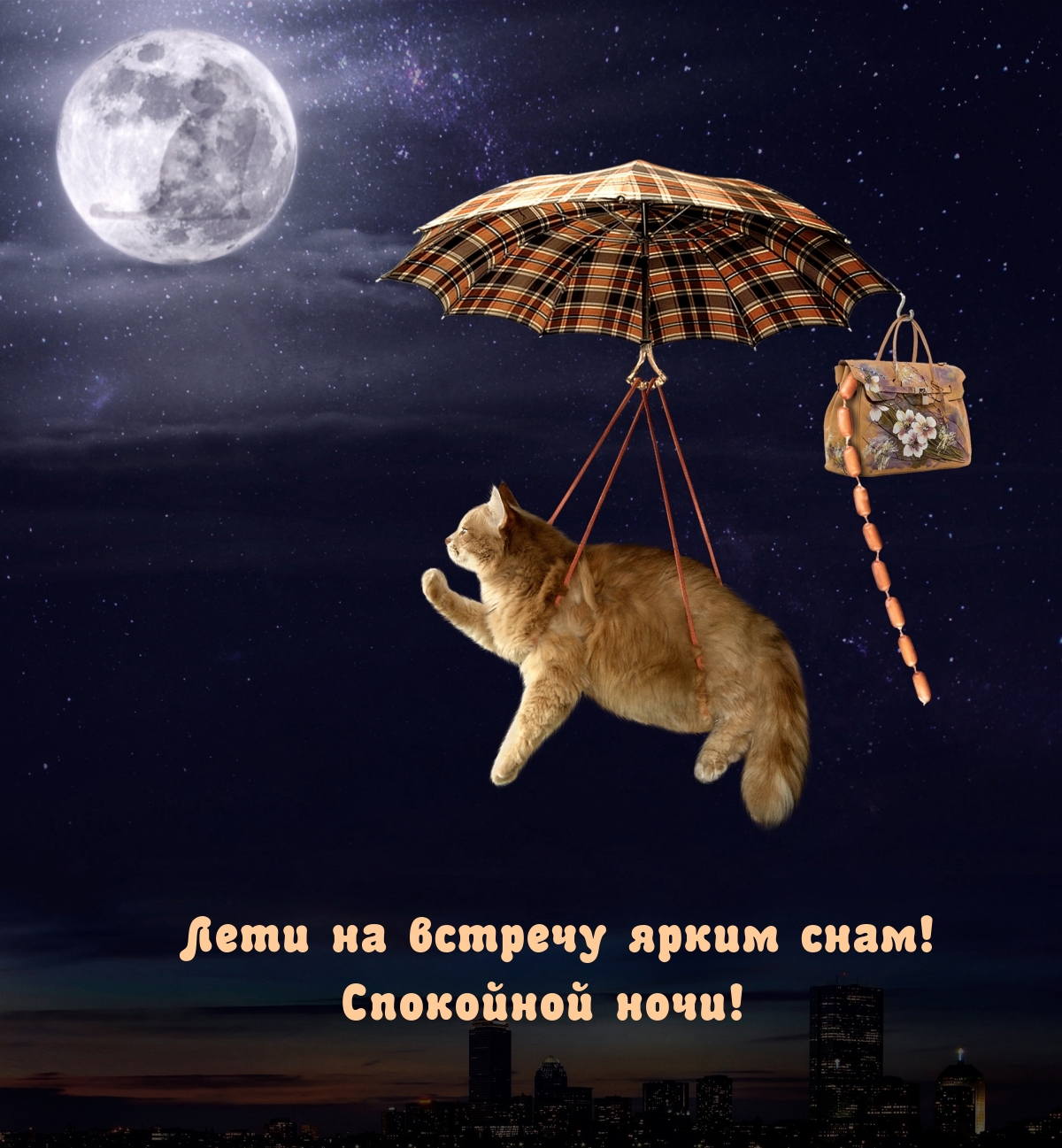 Лети на встречу ярким снам! Спокойной ночи!