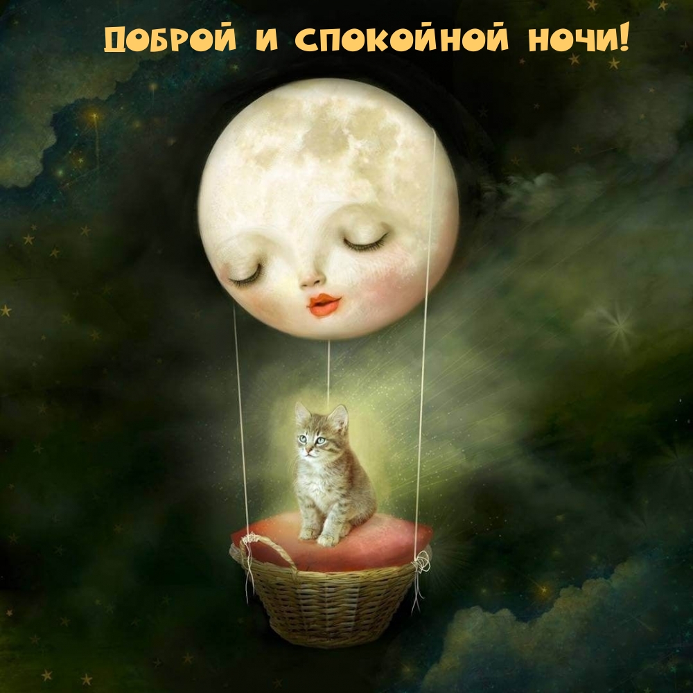 Доброй и спокойной ночи!