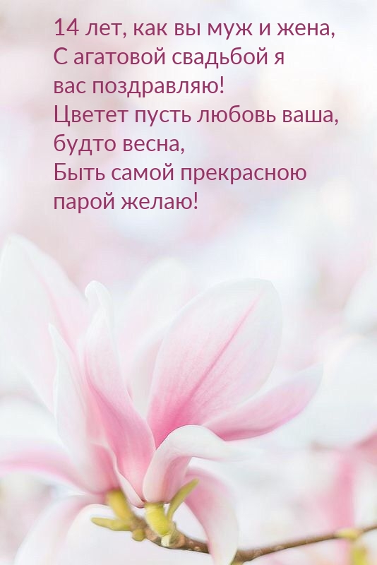 14 лет, как вы муж и жена, с агатовой свадьбой я вас поздравляю!