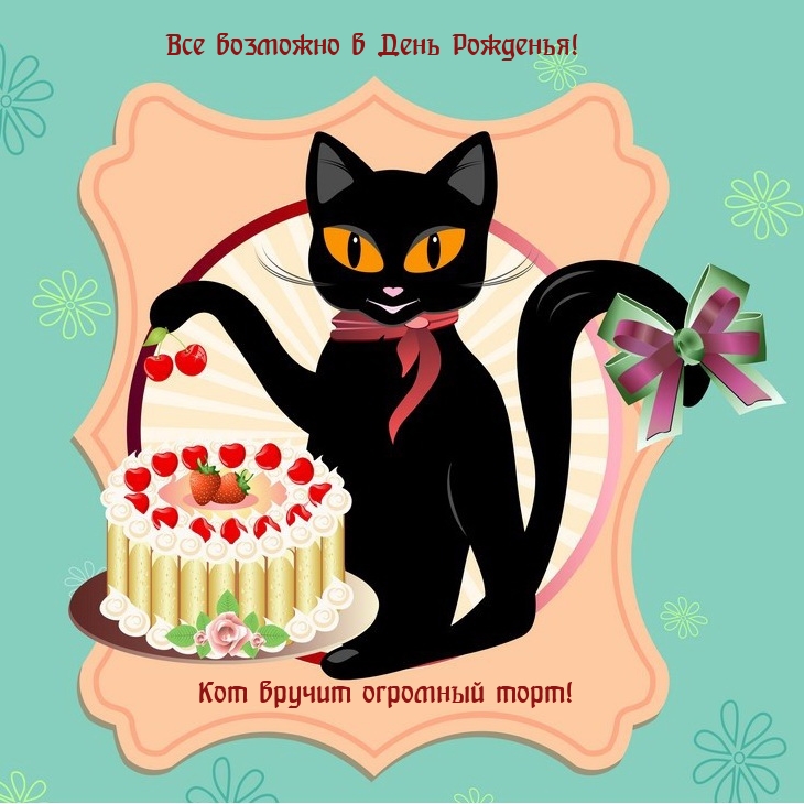 Все возможно в День Рожденья! Кот вручит огромный торт!
