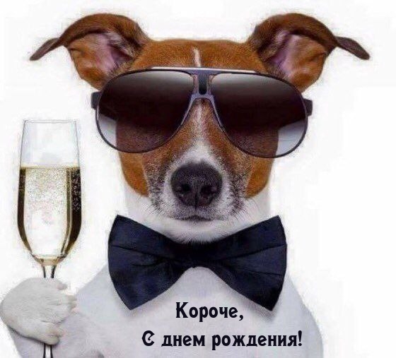 Короче, С днем рождения!