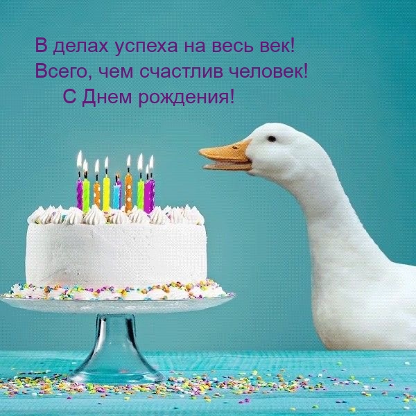 С Днем рождения! В делах успеха на весь век!