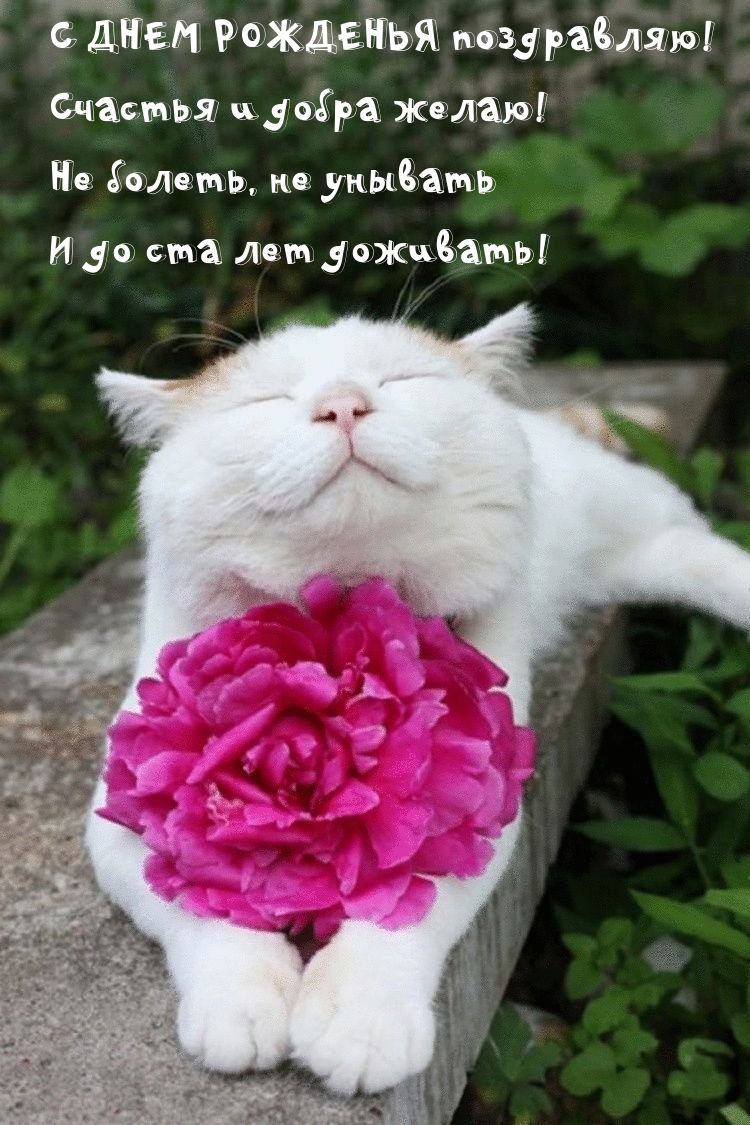 С ДНЕМ РОЖДЕНЬЯ поздравляю! Счастья и добра желаю!