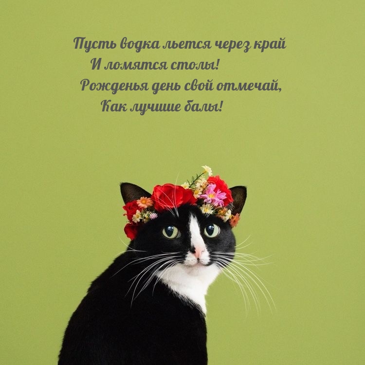 Рожденья день свой отмечай, Как лучшие балы!