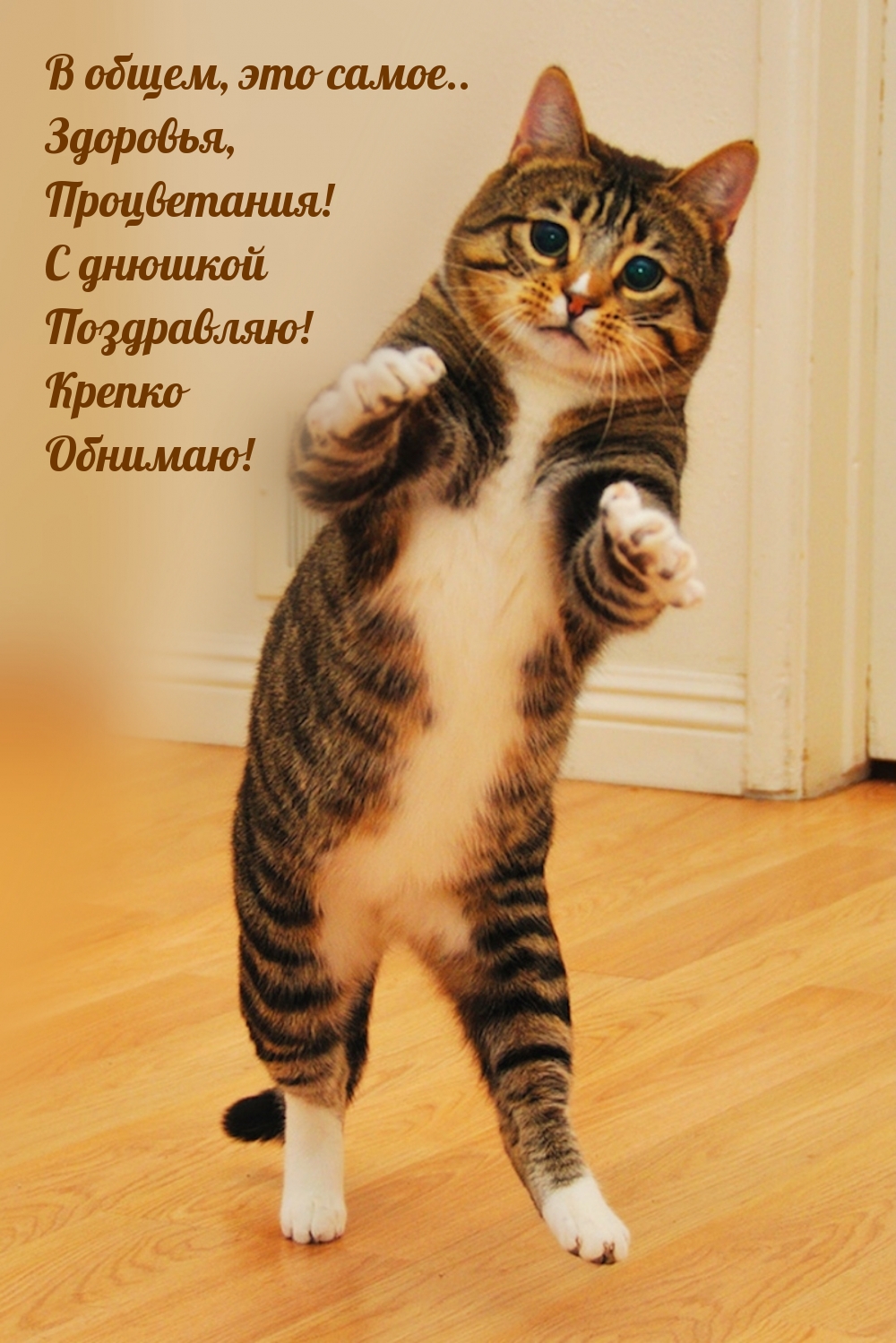 С днюшкой поздравляю! Крепко обнимаю!