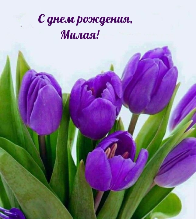 С днем рождения, Милая!