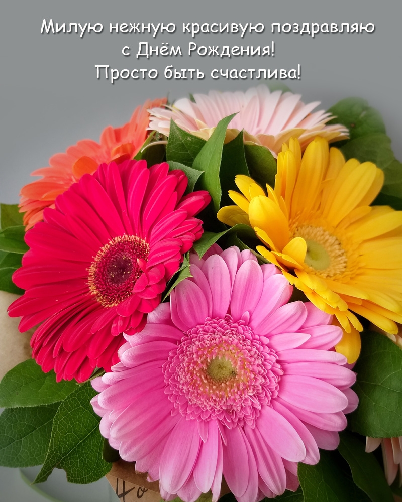 Милую нежную красивую поздравляю с Днём Рождения!