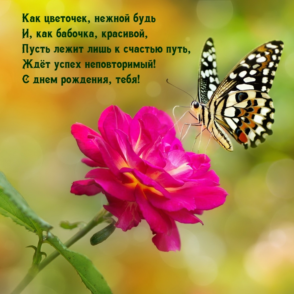 Как цветочек, нежной будь и, как бабочка, красивой