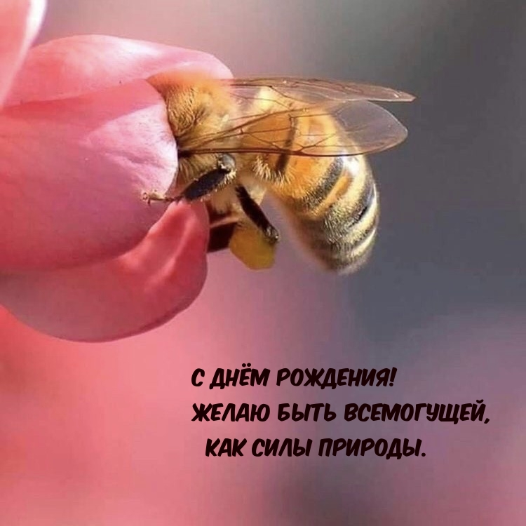 С днём рождения! Желаю быть всемогущей, как силы природы.