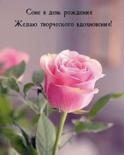 Соне в день рождения Желаю творческого вдохновения!