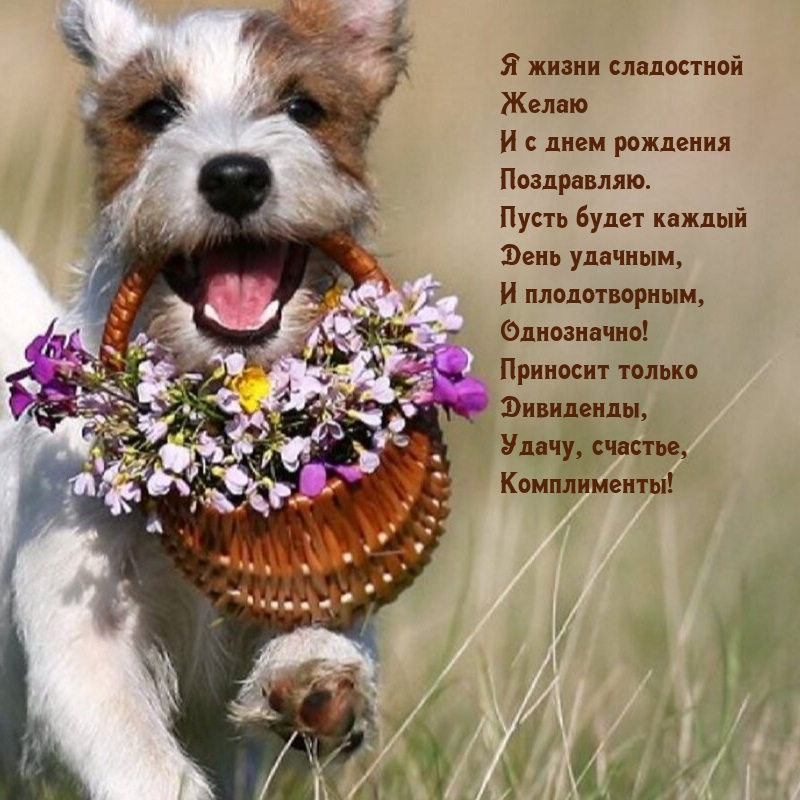 Я жизни сладостной желаю и с днем рождения поздравляю