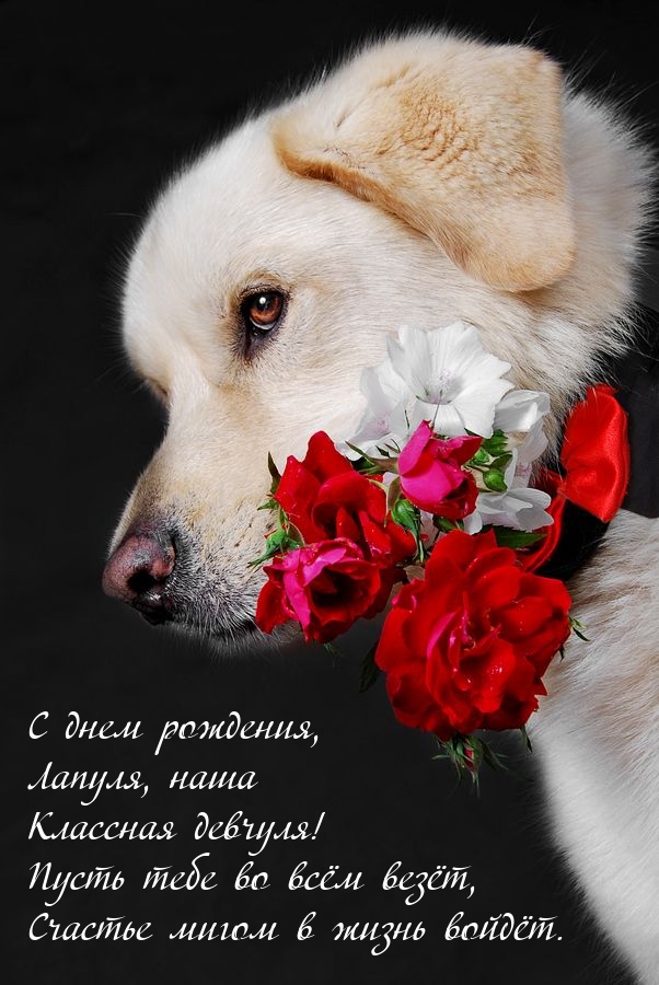 С днем рождения, Лапуля, наша девчуля!