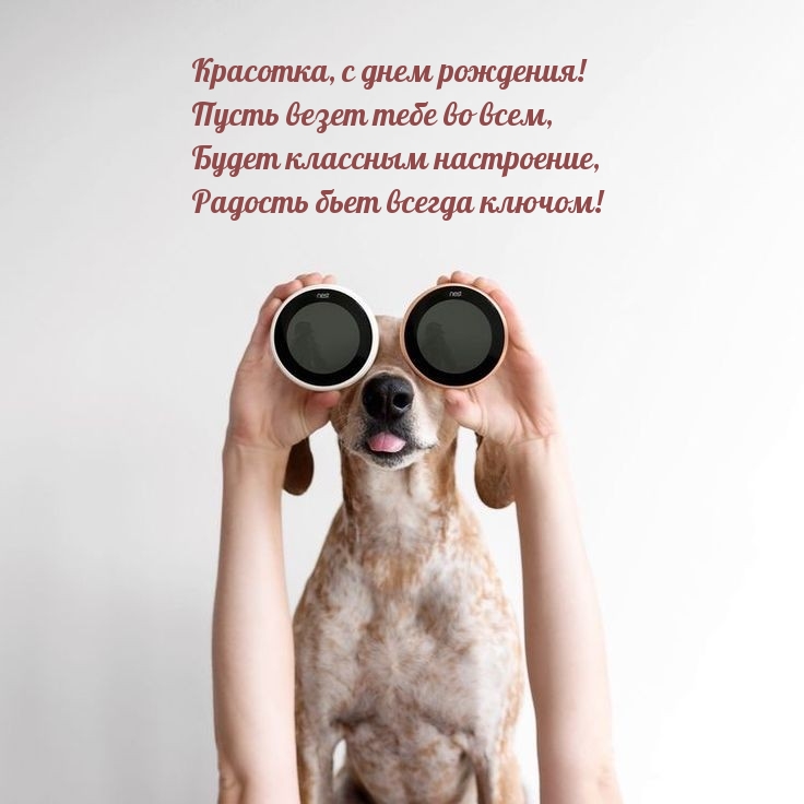 Красотка, с днем рождения! Пусть везет тебе во всем