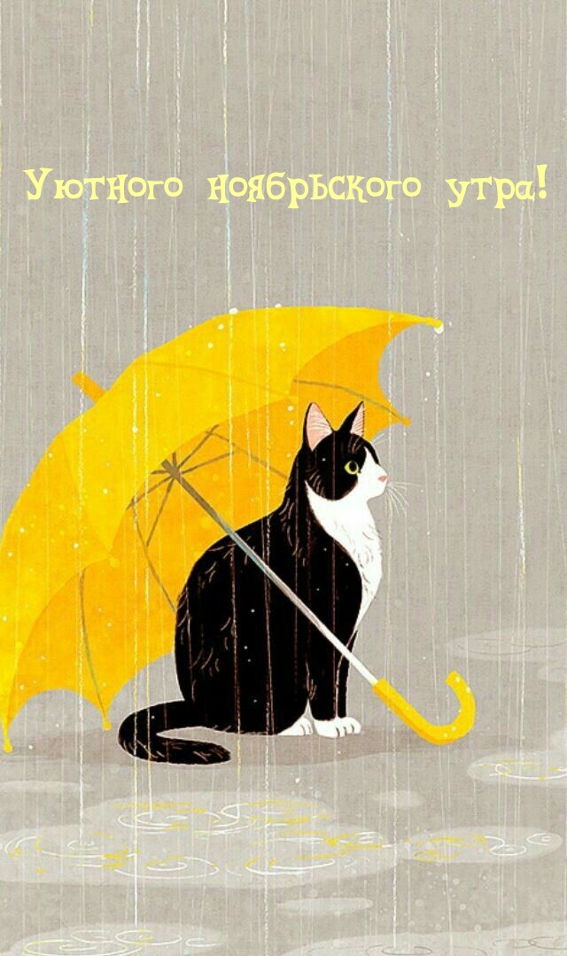 Уютного ноябрьского утра!