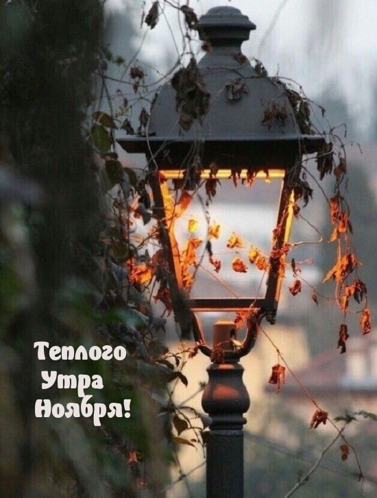 Теплого Утра Ноября!