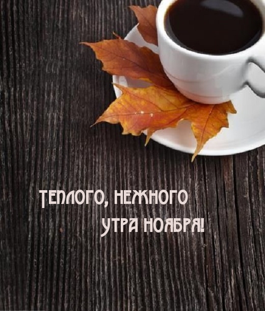 Теплого, нежного Утра ноября!