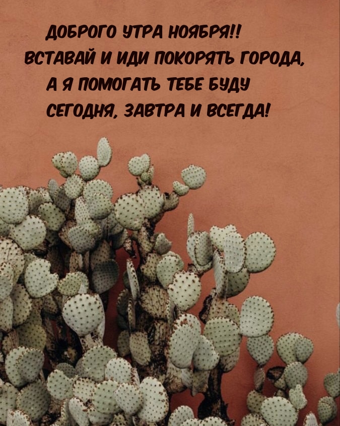 Доброго утра ноября! Вставай и иди покорять города
