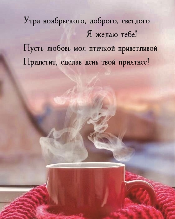 Утра ноябрьского, доброго, светлого Я желаю тебе!