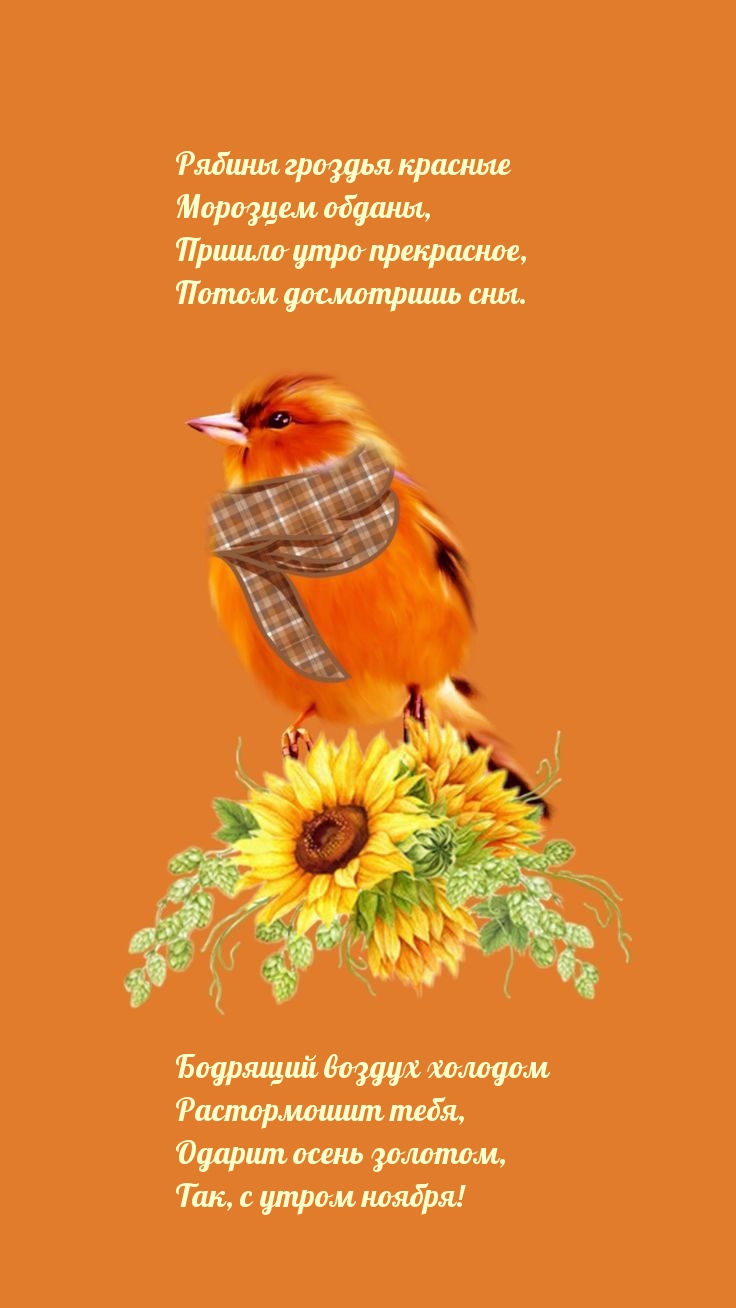 Одарит осень золотом, так, с утром ноября!