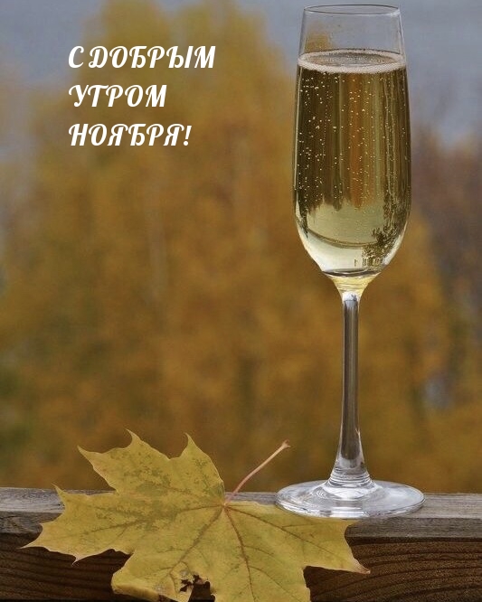 С добрым утром ноября!