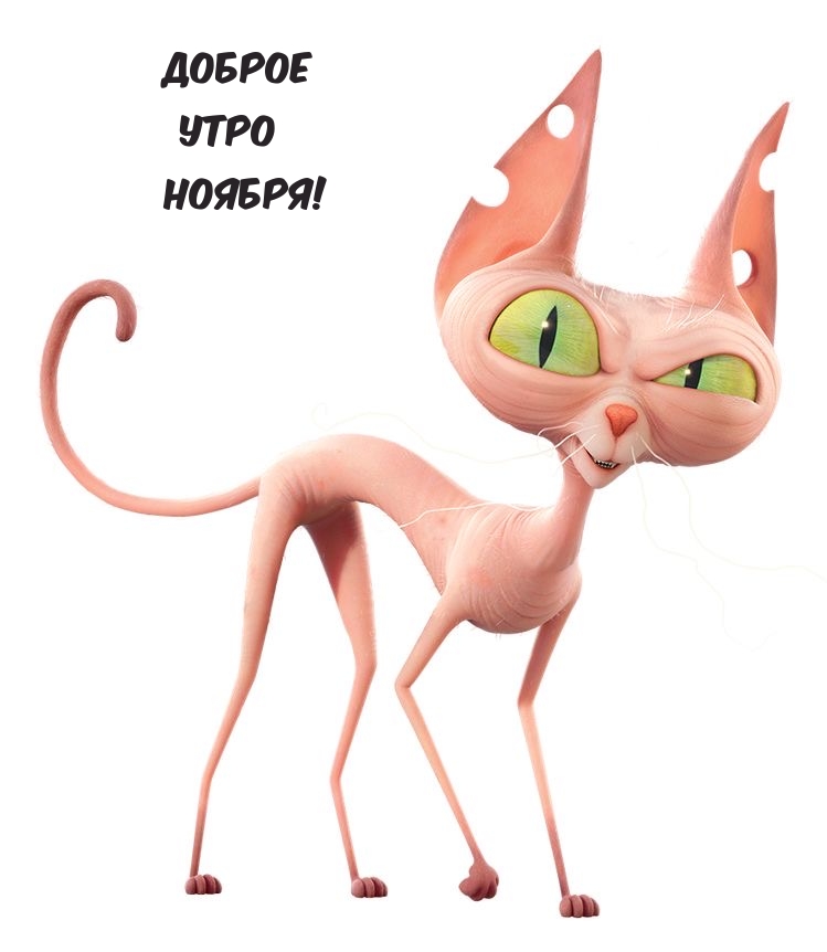 Доброе утро ноября!