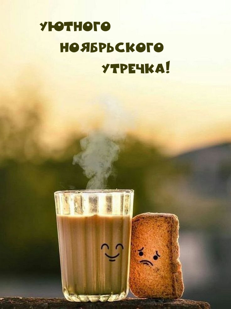 Уютного Ноябрьского Утречка!