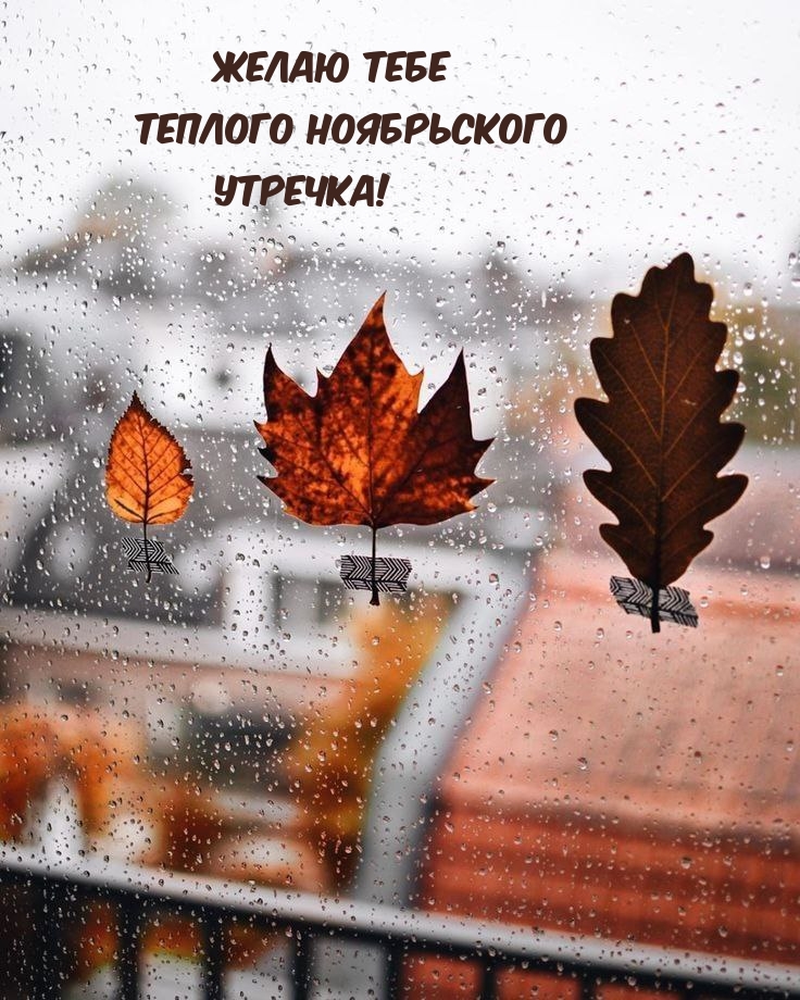 Желаю тебе Теплого ноябрьского Утречка!