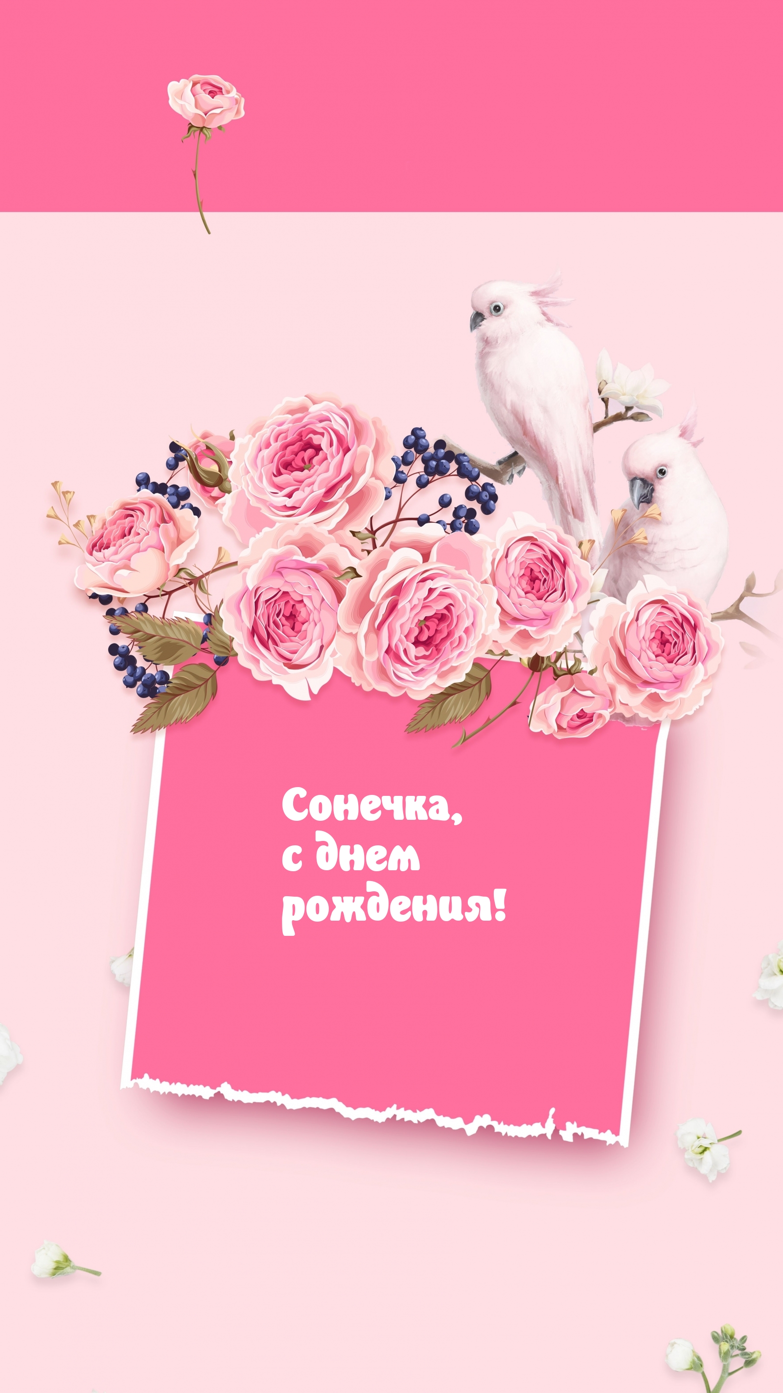 Сонечка, с днем рождения!