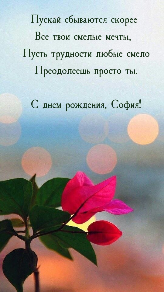 Пускай сбываются все смелые мечты С днем рождения, София!