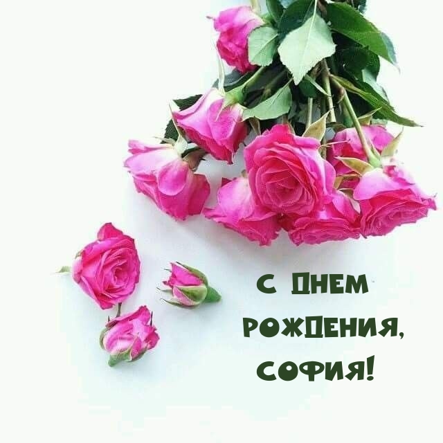 С днем Рождения, София!