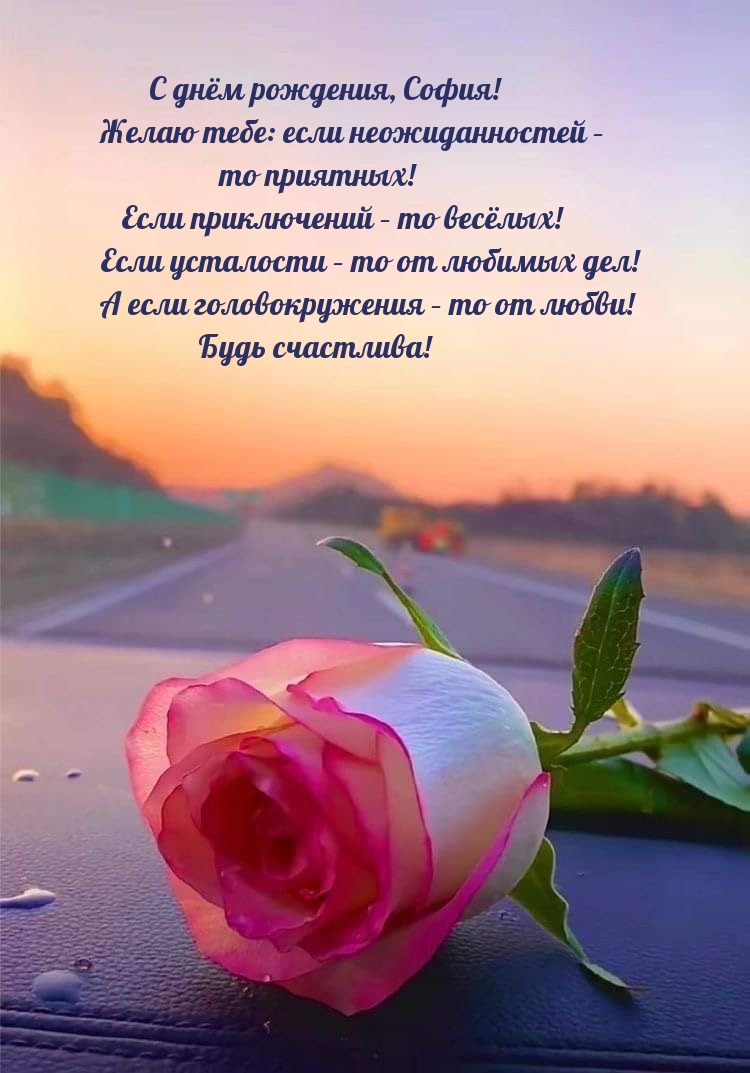 С днём рождения, София! Будь счастлива!
