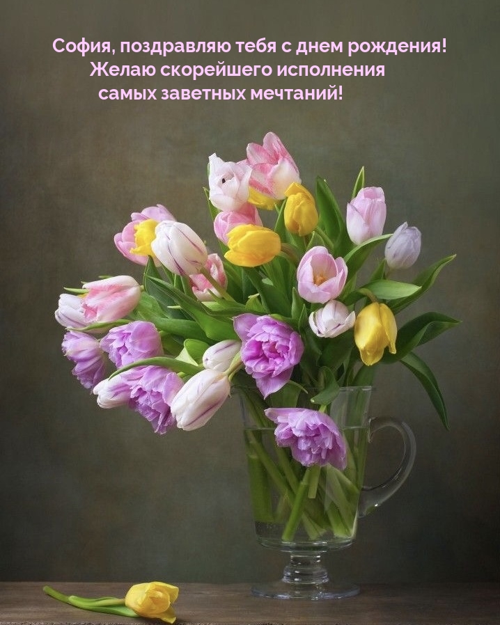 София, поздравляю тебя с днем рождения!