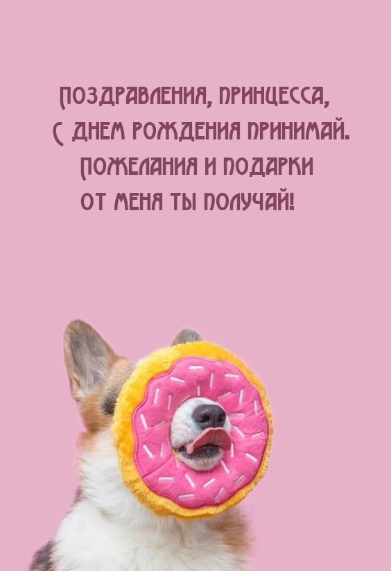 Поздравления, принцесса, с днем рождения принимай.