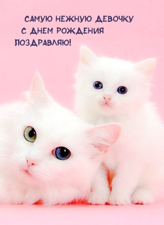 Самую нежную девочку с днем рождения поздравляю!