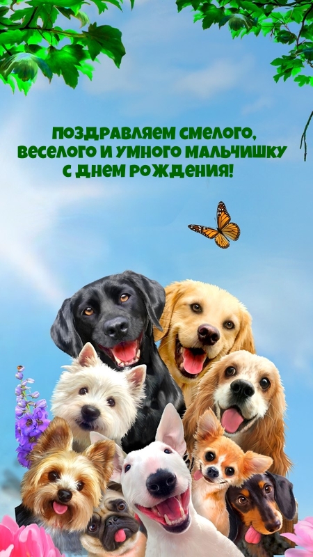 Смелого, веселого и умного мальчишку с Днем рождения!
