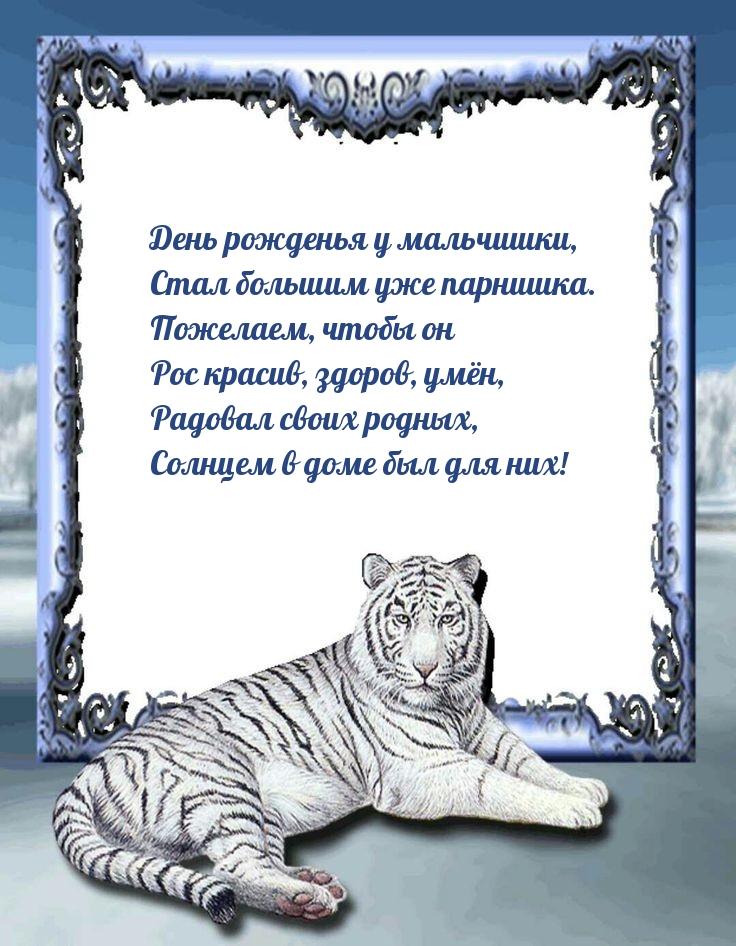 День рожденья у мальчишки, стал большим уже парнишка.