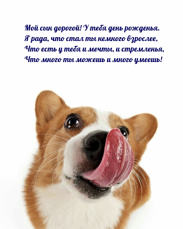 Мой сын дорогой! У тебя день рожденья.